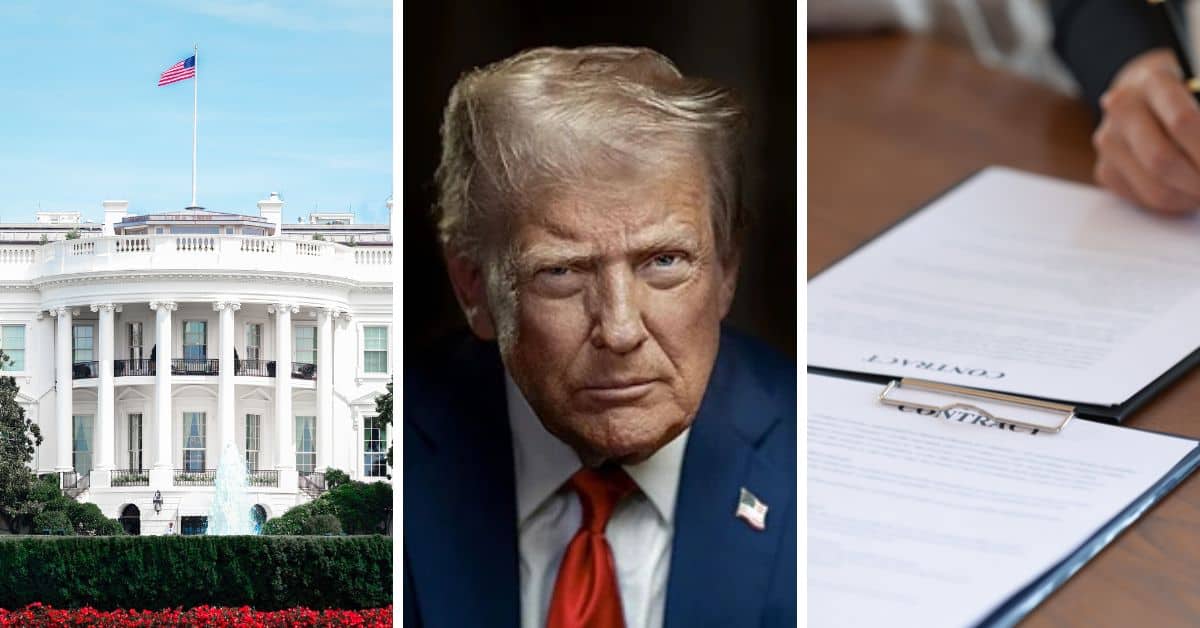 What Is Donald Trump’s Myers-Briggs® Personality Type? A Practitioner’s Perspective